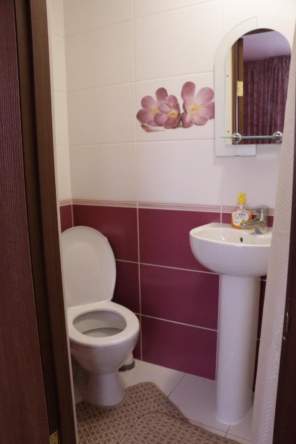 Karpatskyi Maetok Hotel Slavske Ngoại thất bức ảnh